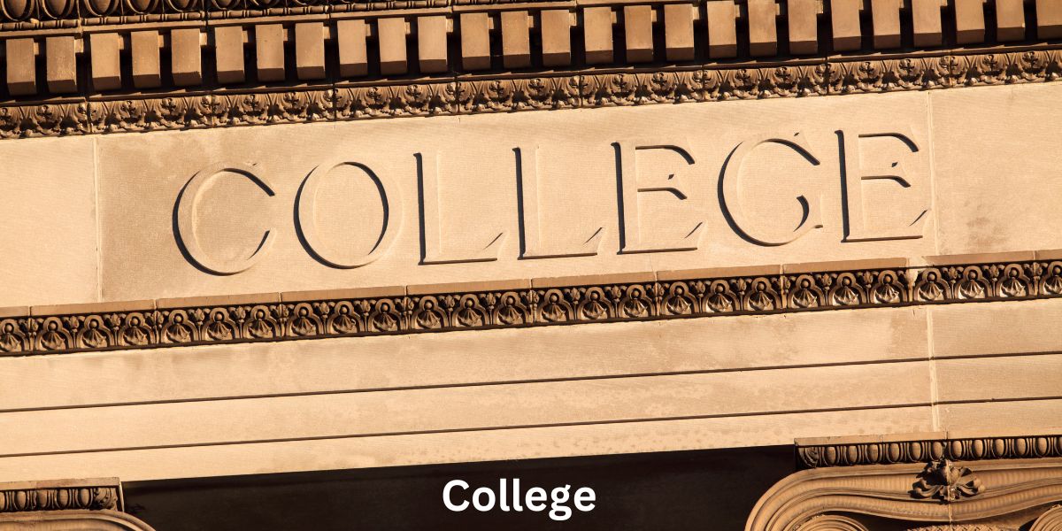 The Best Education Major Colleges: Your Guide to a Teaching Career That Changes Lives